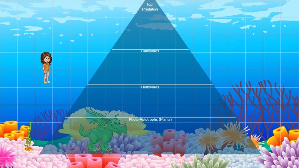 Ocean Ecological Pyramid