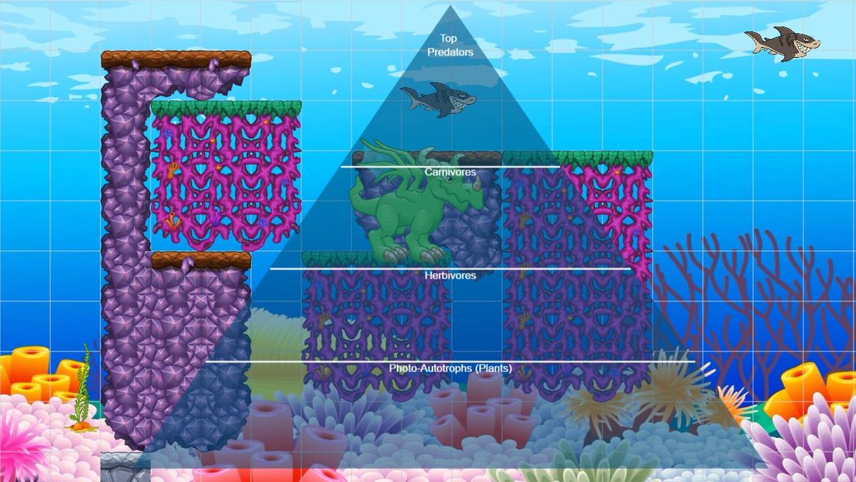 Ocean Ecological Pyramid