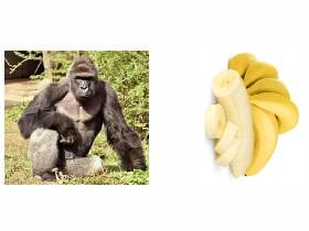 Harambe Wants Banana