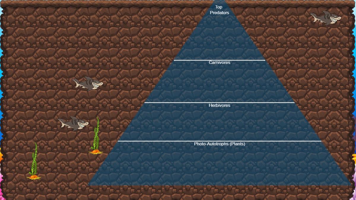 Ocean Ecological Pyramid