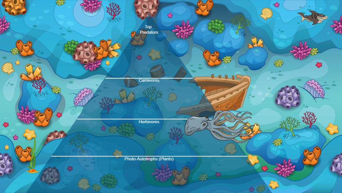 Ocean Ecological Pyramid