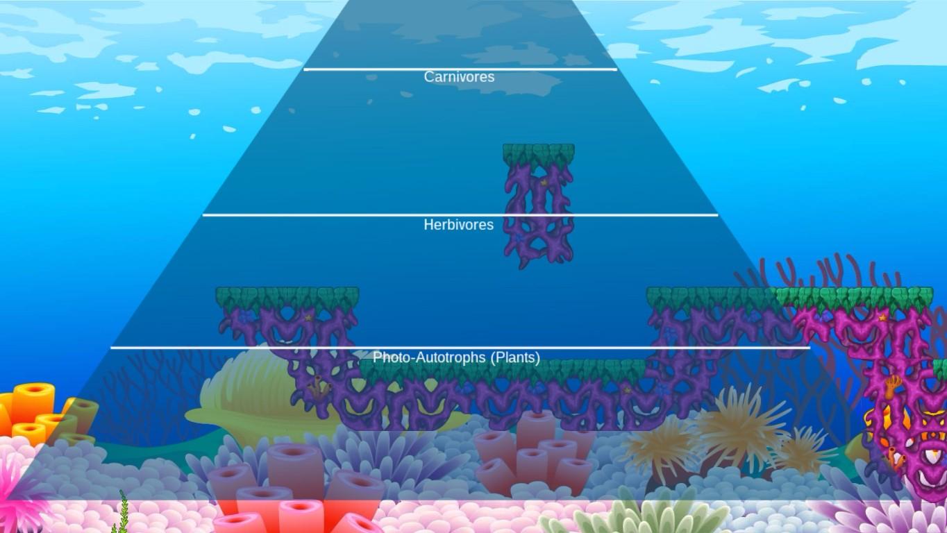 Ocean Ecological Pyramid