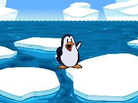 Crazy Penguin