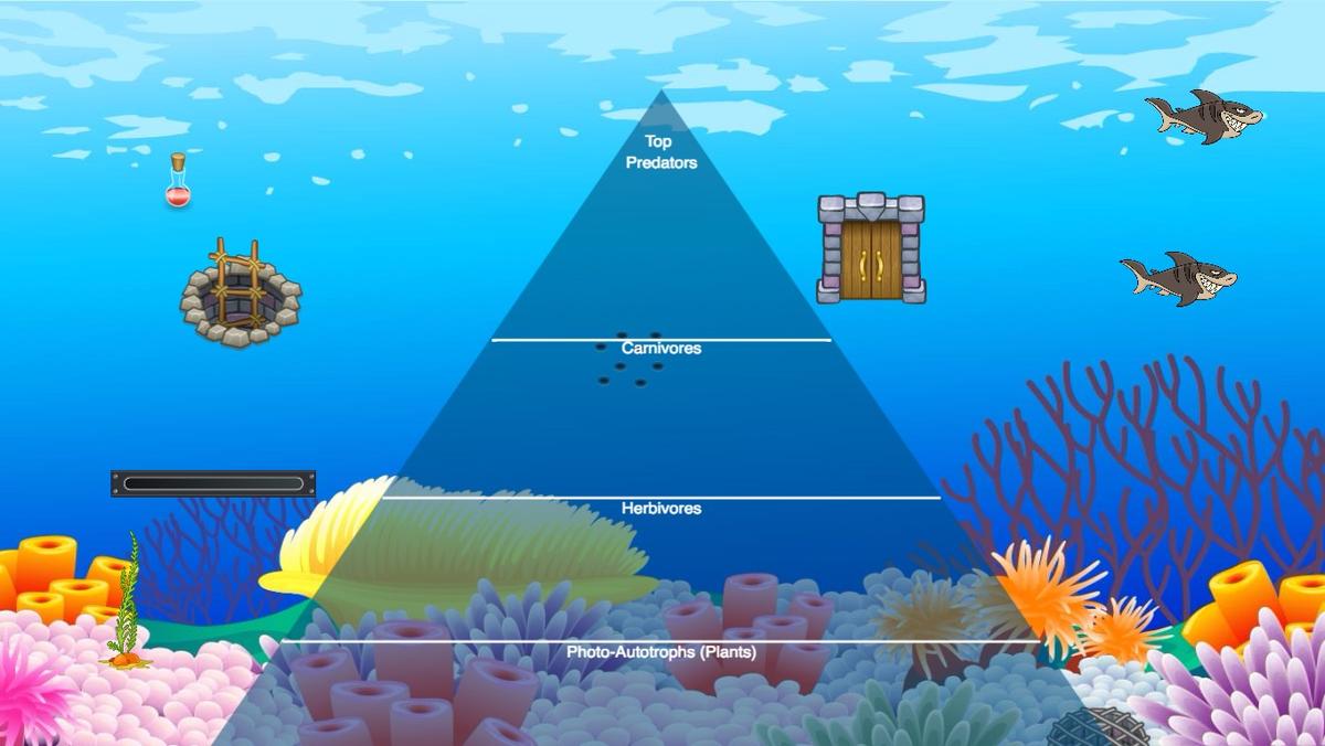 Ocean Ecological Pyramid