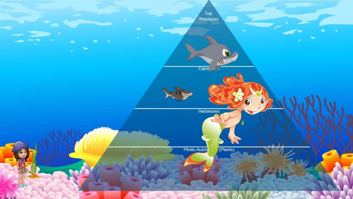 Ocean Ecological Pyramid