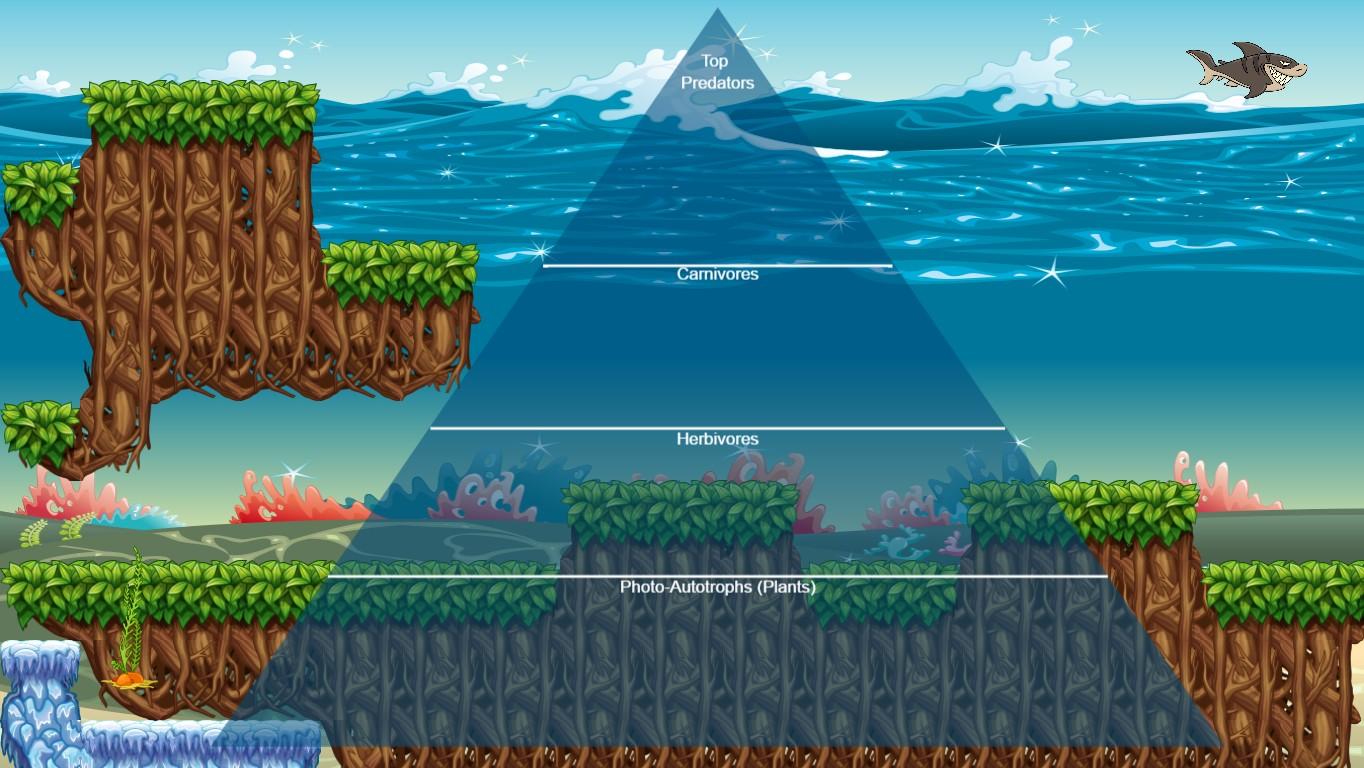 Ocean Ecological Pyramid