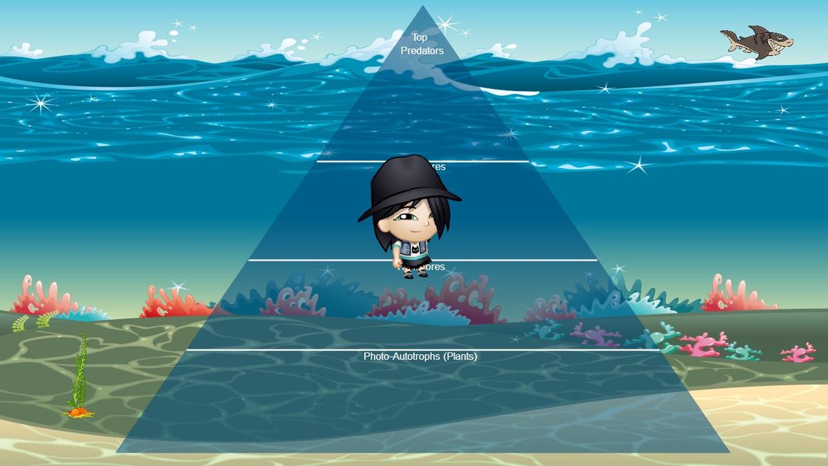 Ocean Ecological Pyramid