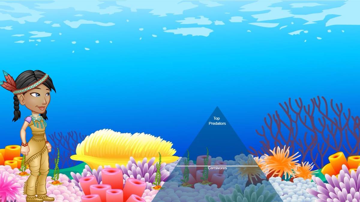 Ocean Ecological Pyramid