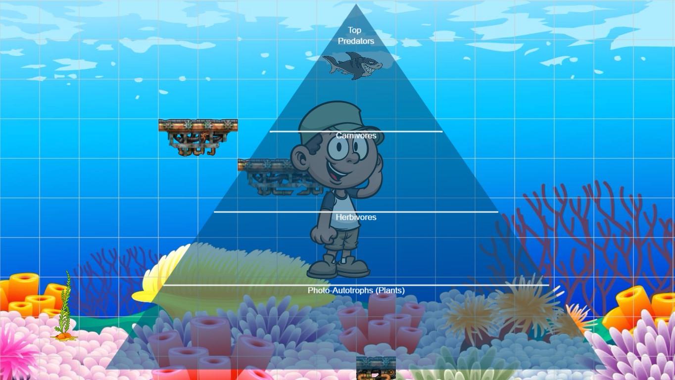 Ocean Ecological Pyramid