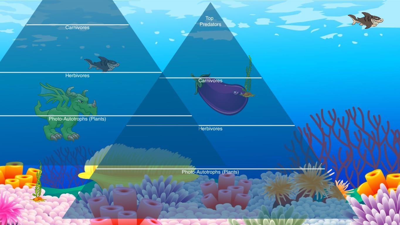 Ocean Ecological Pyramid