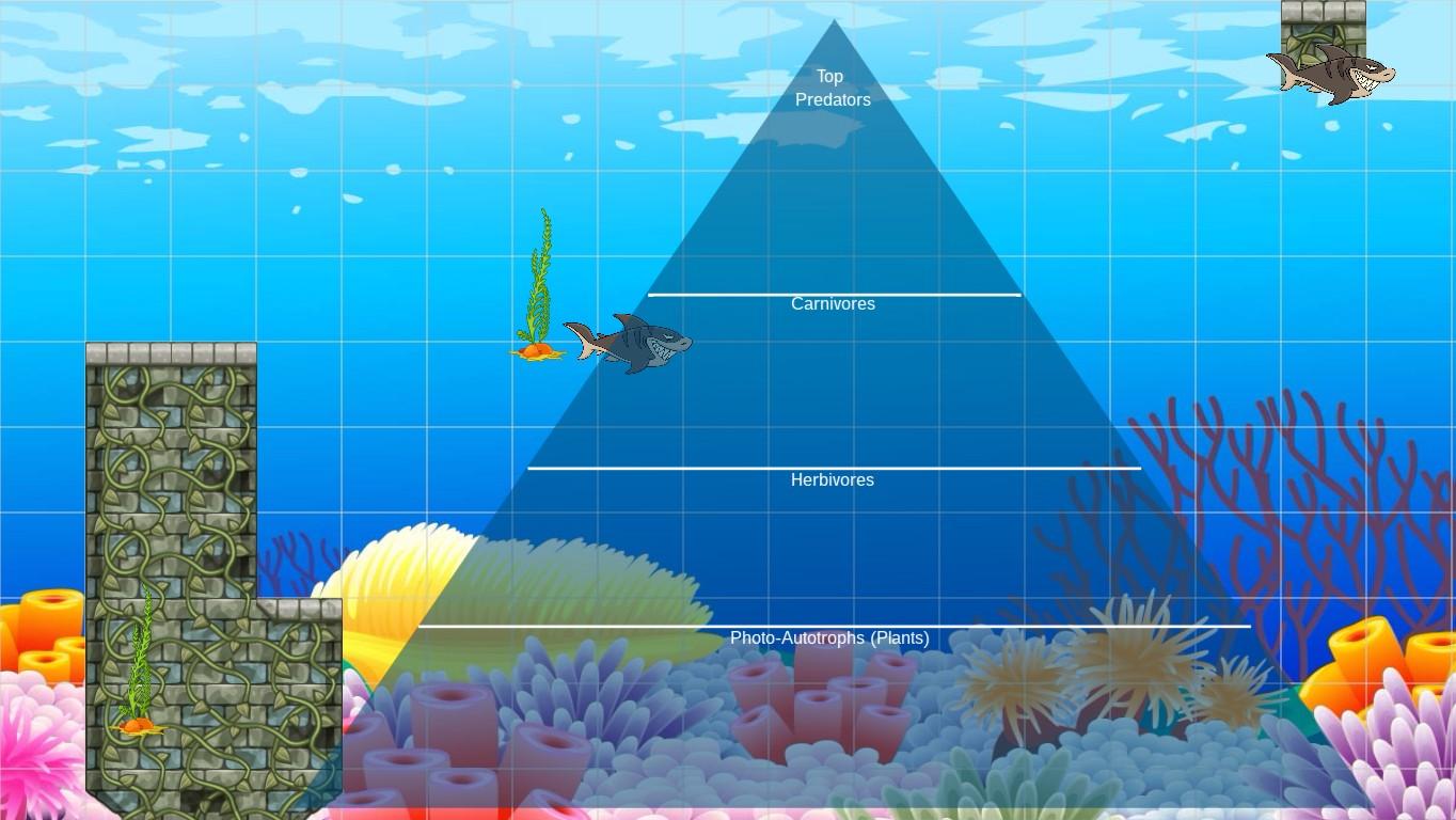 Ocean Ecological Pyramid