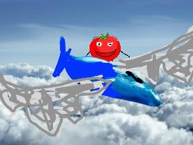 Chris&#039;s flying whale