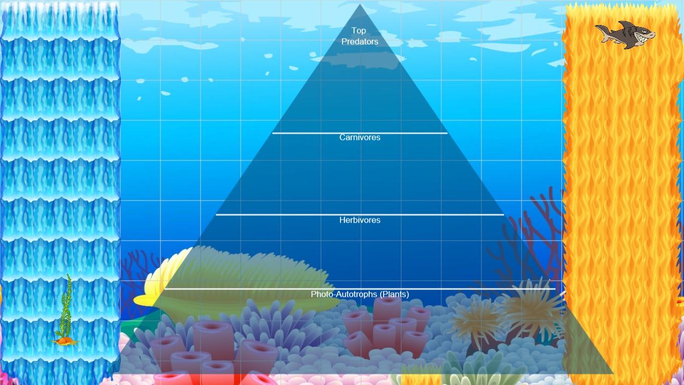 Ocean Ecological Pyramid