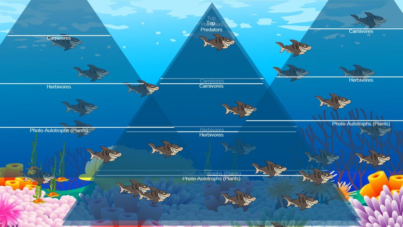 Ocean Ecological Pyramid