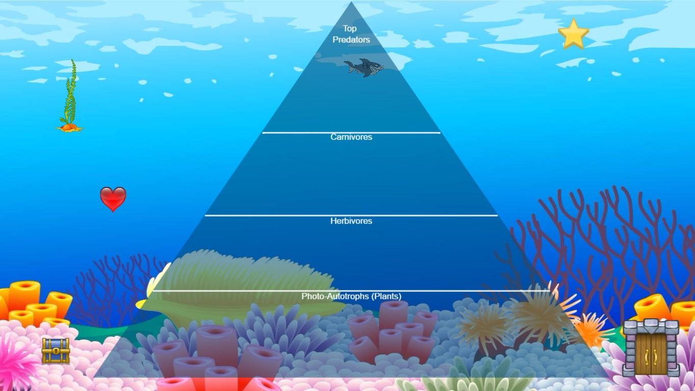 Ocean Ecological Pyramid