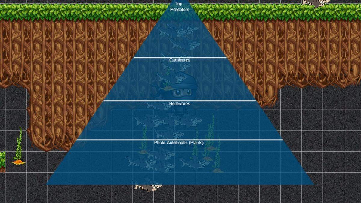 Ocean Ecological Pyramid