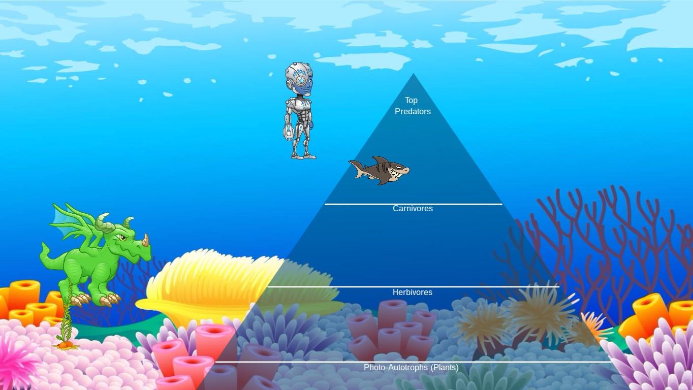 Ocean Ecological Pyramid