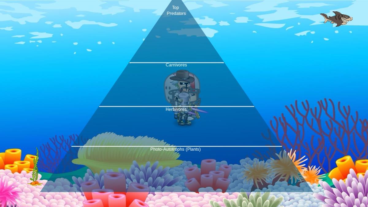 Ocean Ecological Pyramid