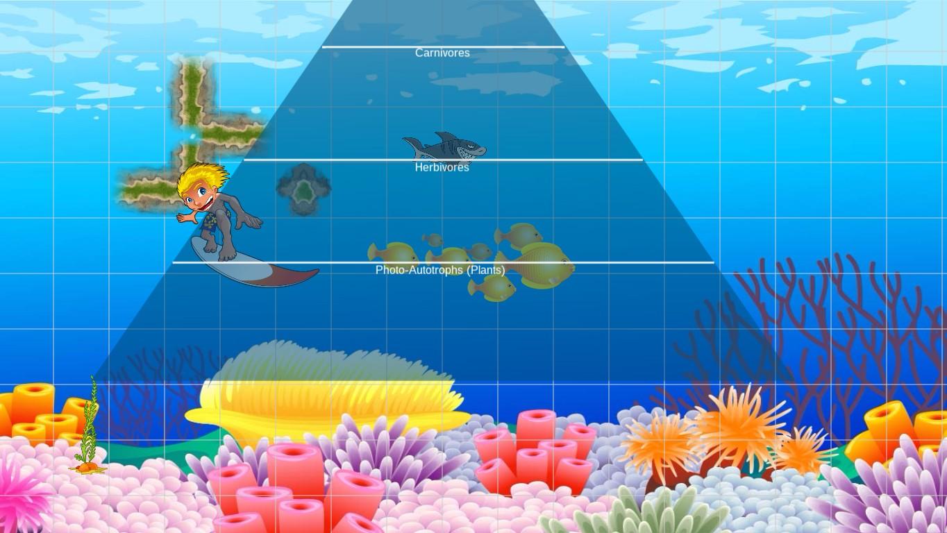 Ocean Ecological Pyramid