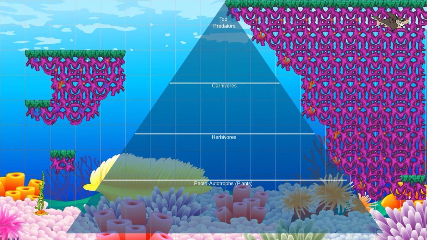 Ocean Ecological Pyramid