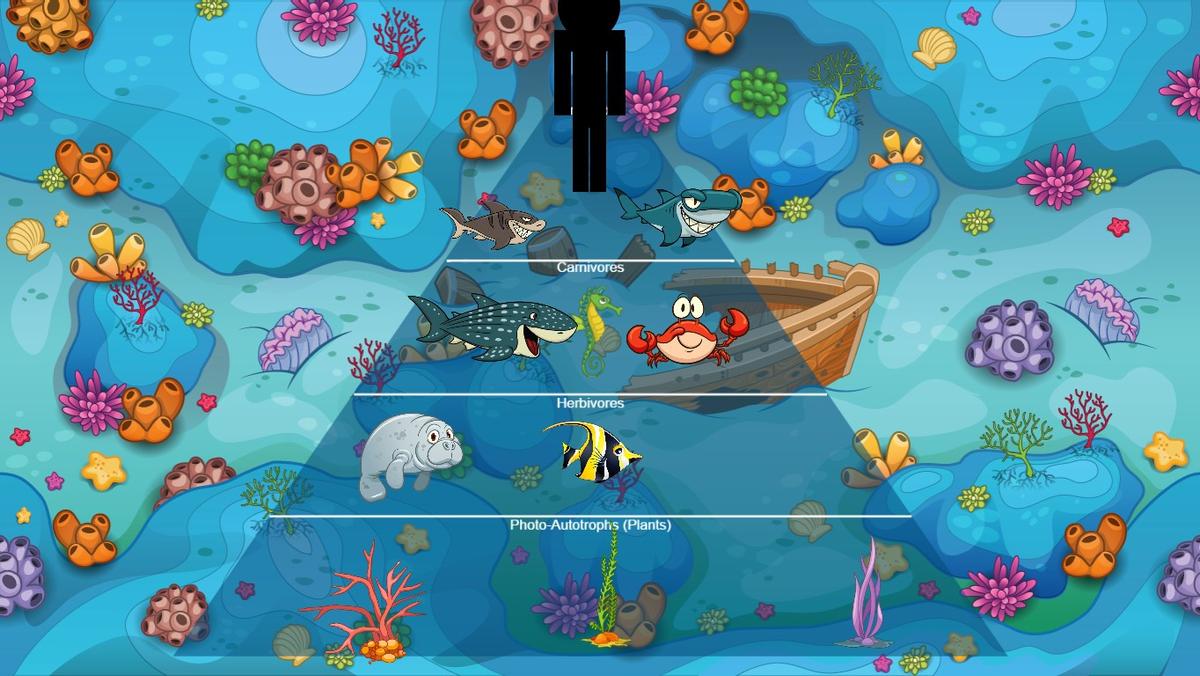 Ocean Ecological Pyramid