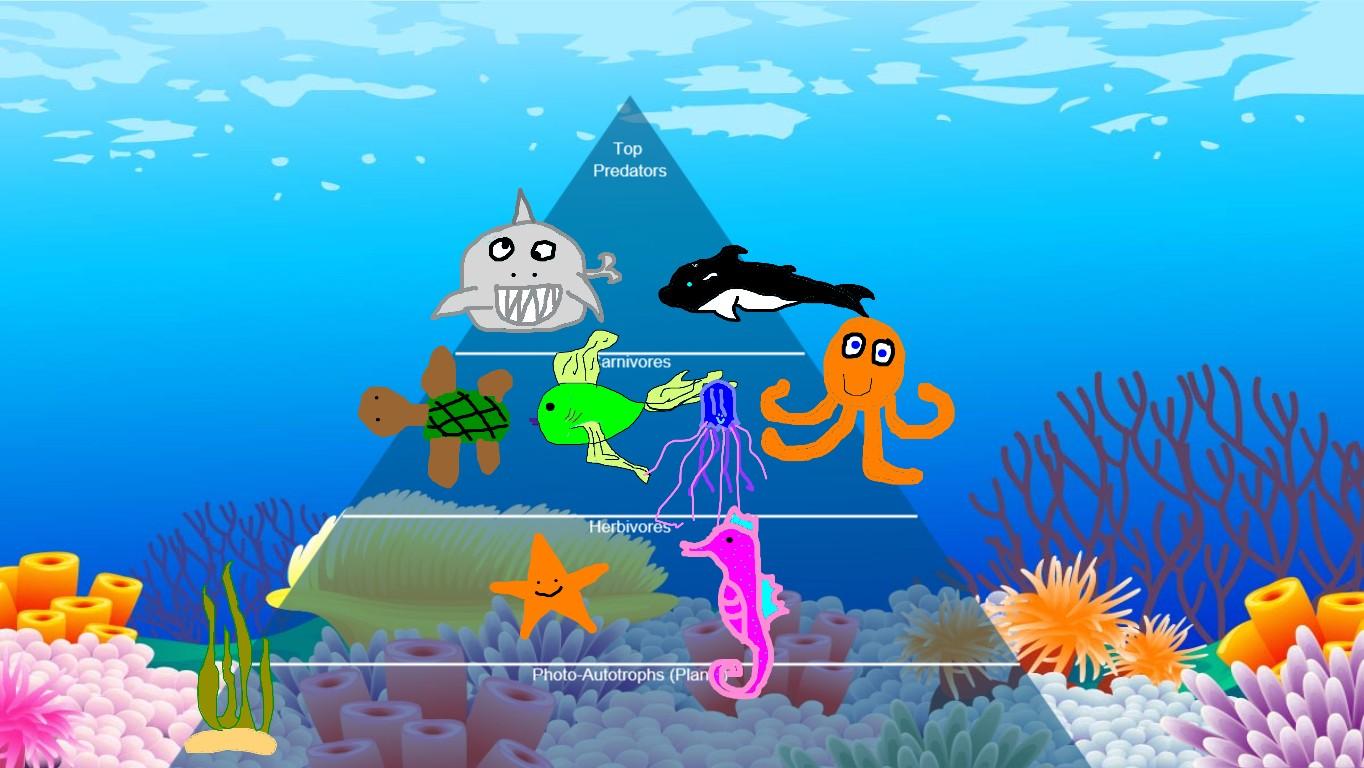 Ocean Ecological Pyramid