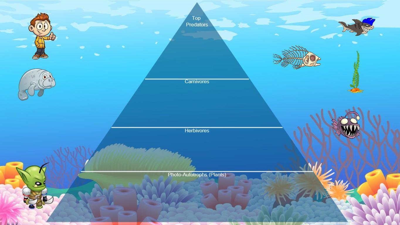 Ocean Ecological Pyramid