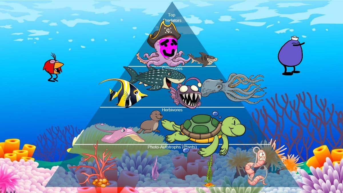 Ocean Ecological Pyramid