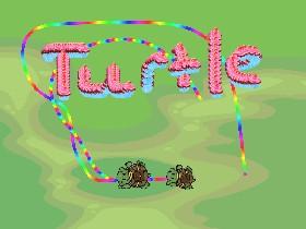 Turtle Trails 3