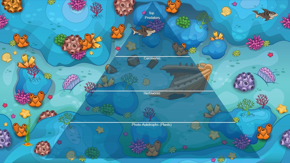 Ocean Ecological Pyramid