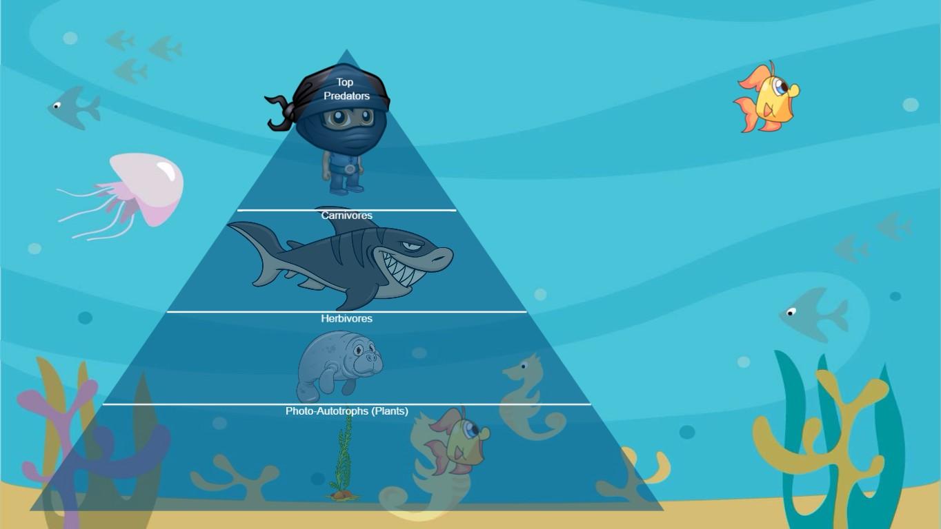 Ocean Ecological Pyramid