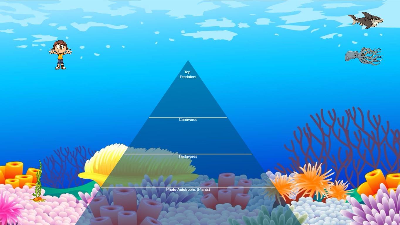 Ocean Ecological Pyramid