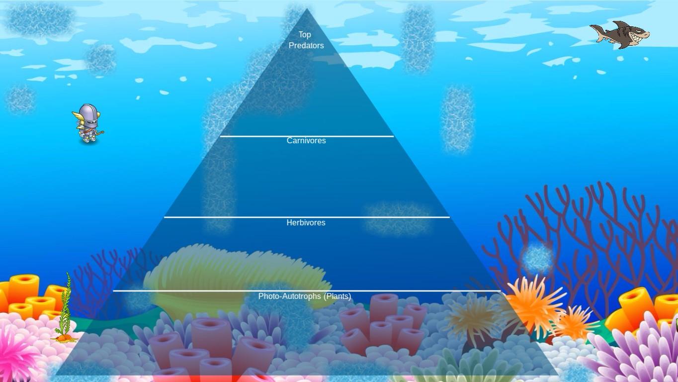 Ocean Ecological Pyramid