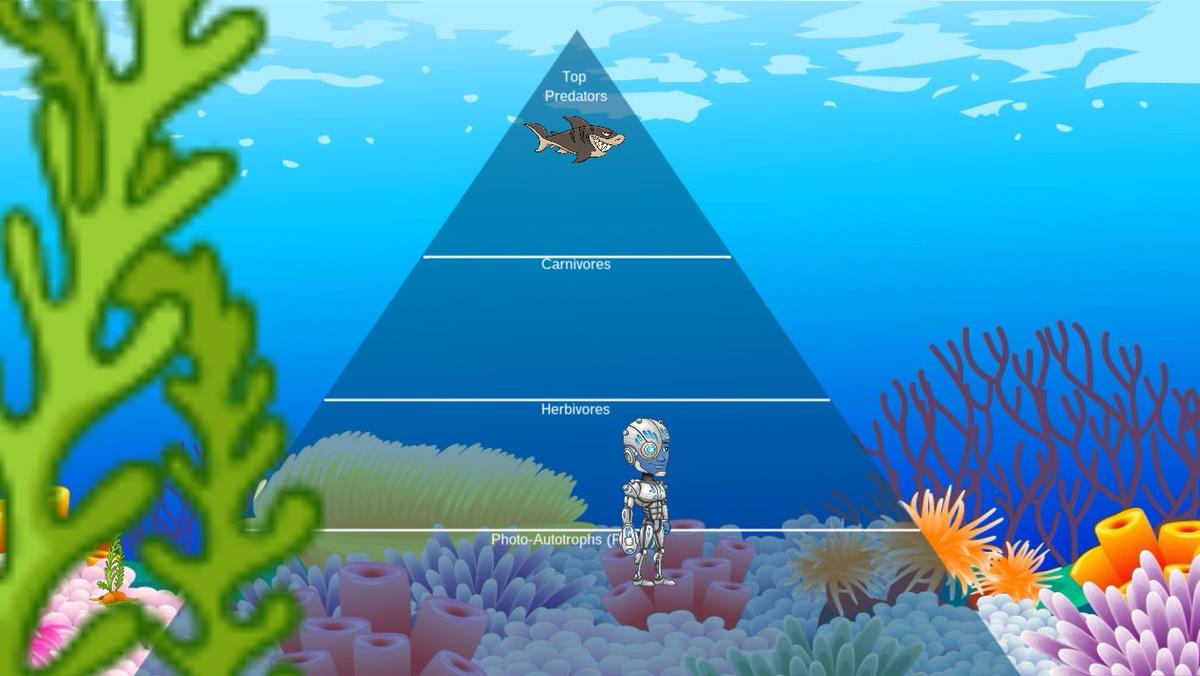 Ocean Ecological Pyramid