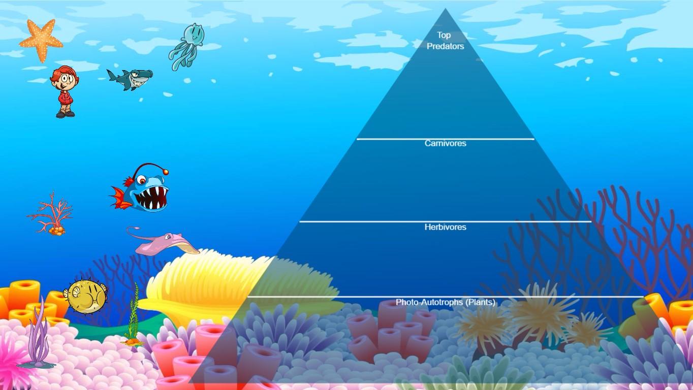 Ocean Ecological Pyramid