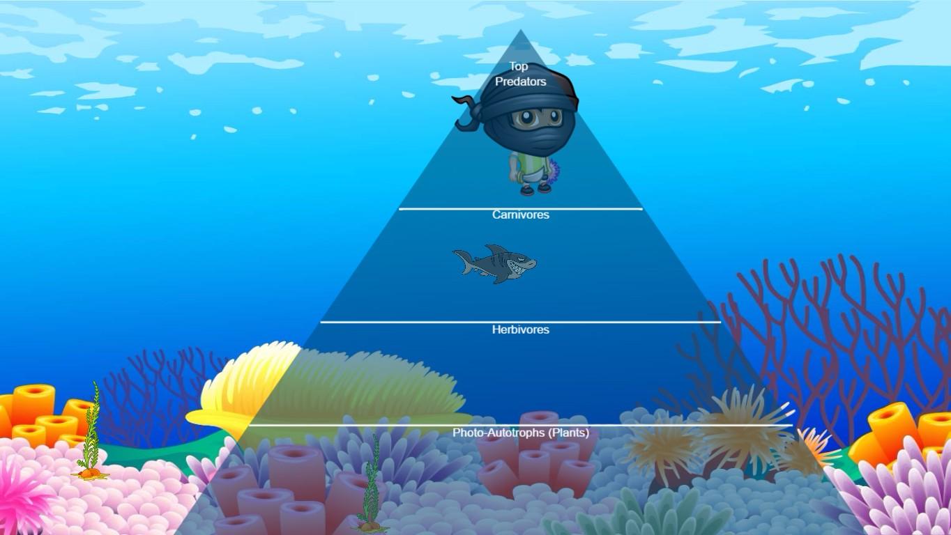 Ocean Ecological Pyramid