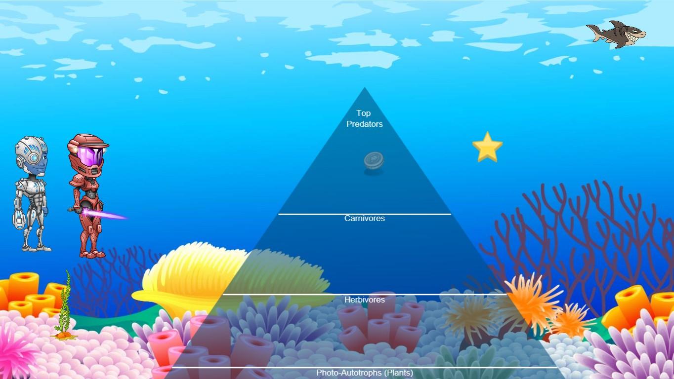 Ocean Ecological Pyramid