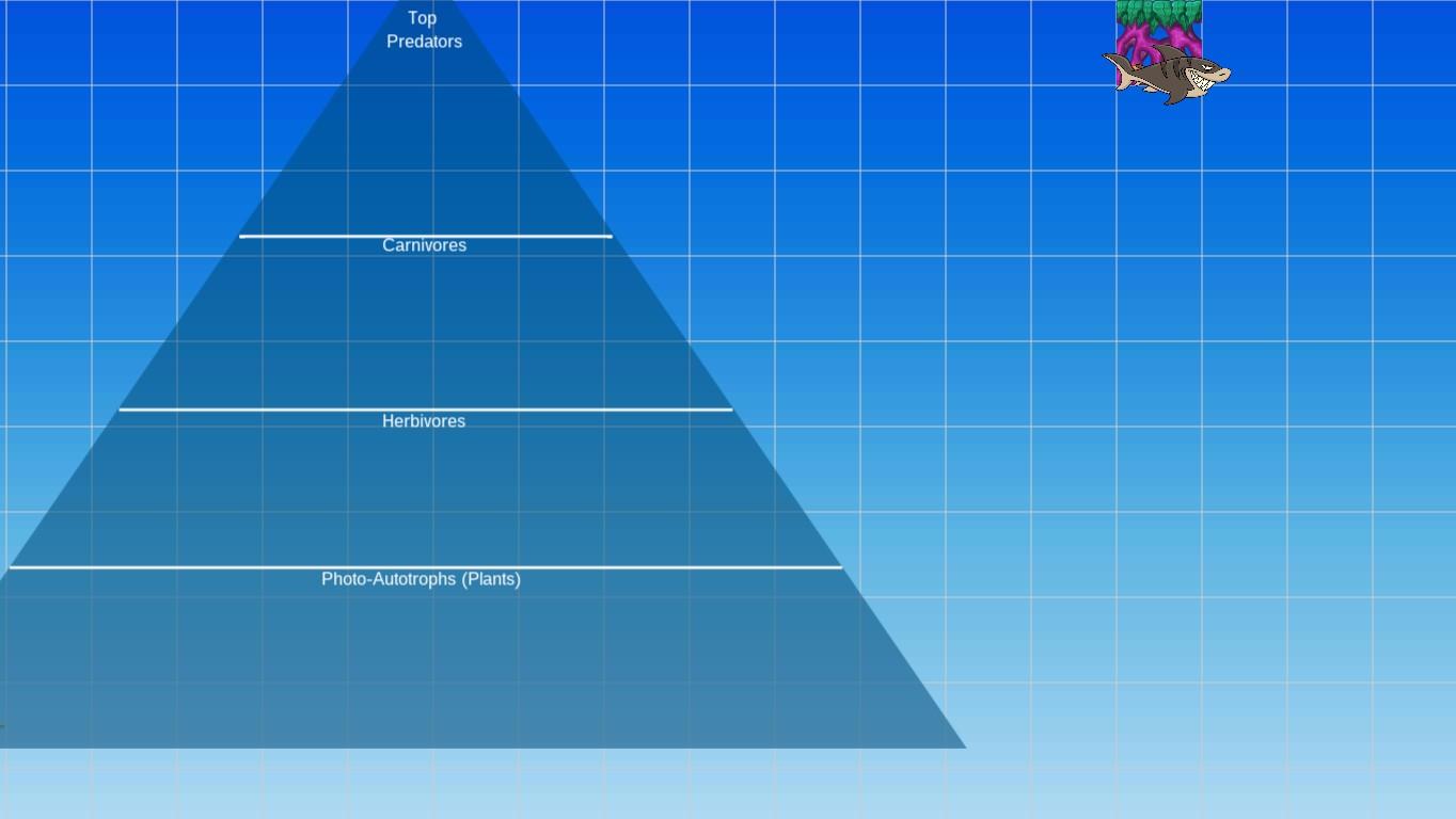 Ocean Ecological Pyramid