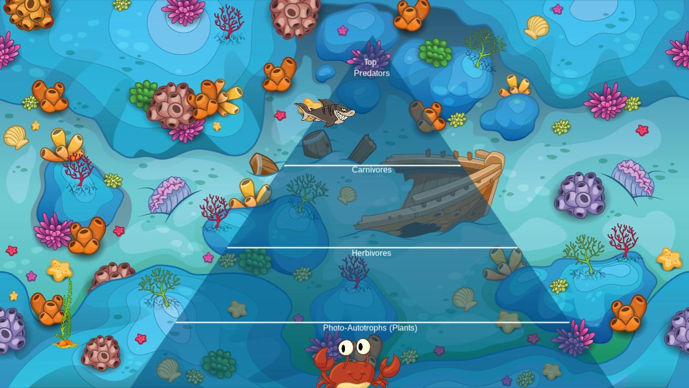 Ocean Ecological Pyramid