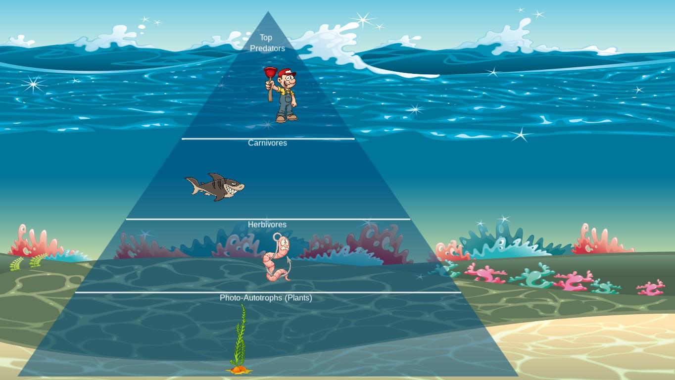 Ocean Ecological Pyramid