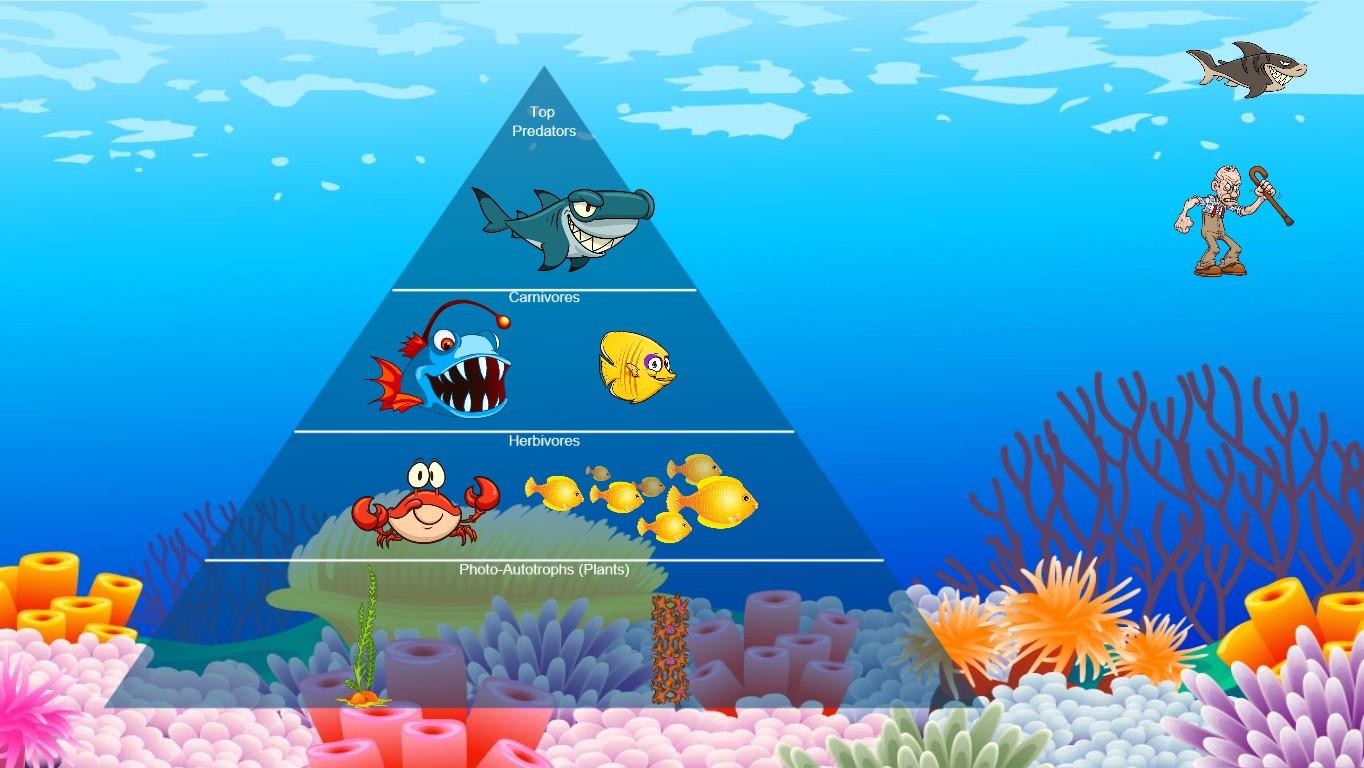 Ocean Ecological Pyramid