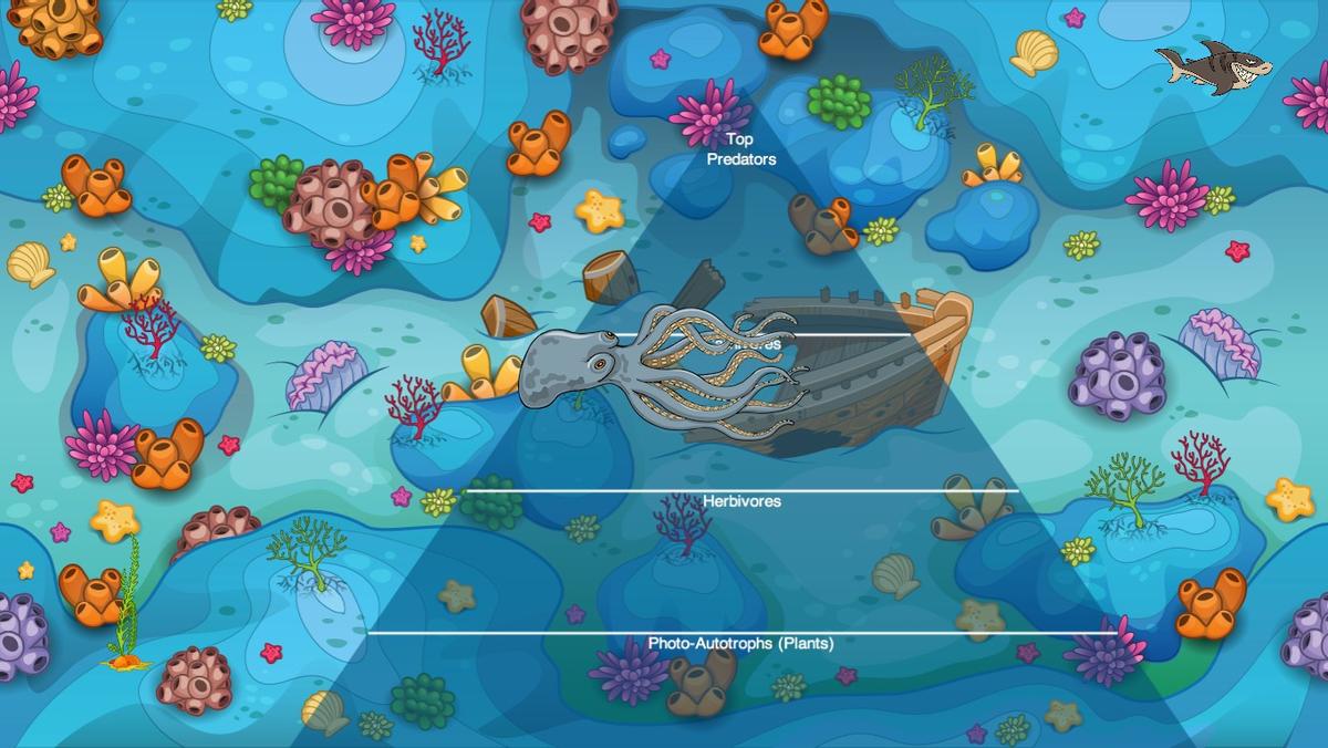 Ocean Ecological Pyramid