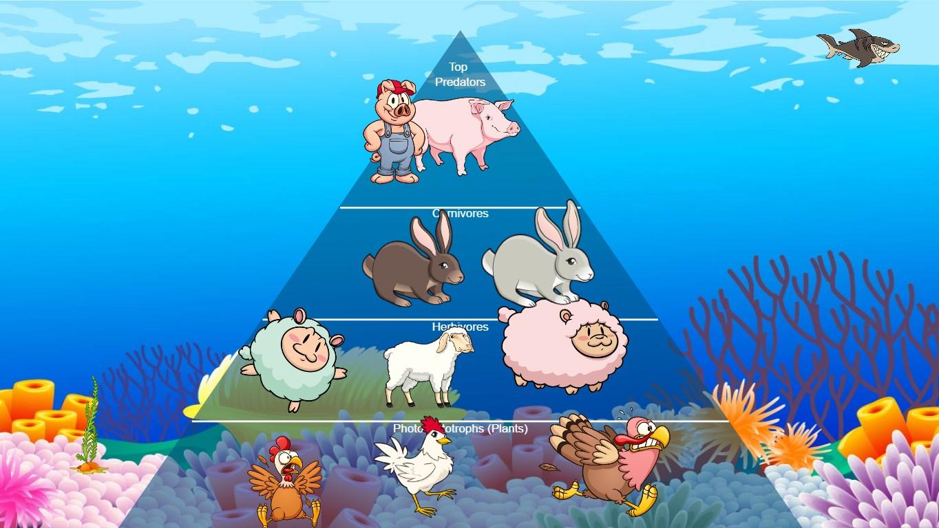 Ocean Ecological Pyramid