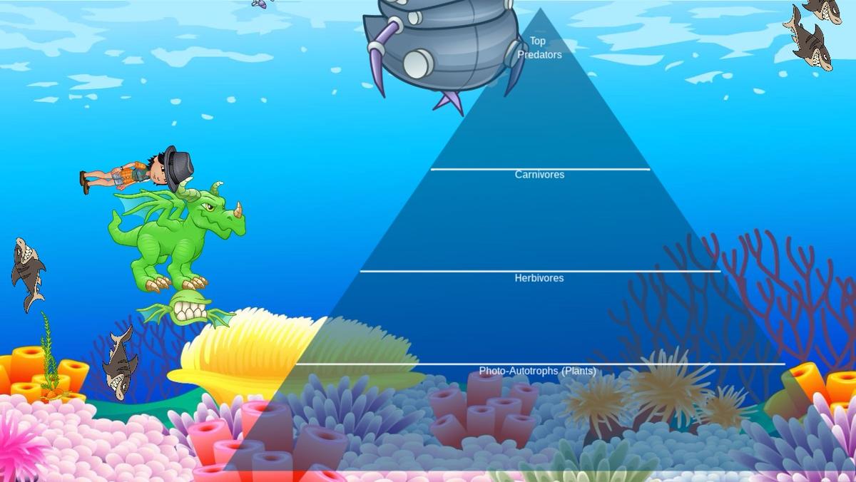 Ocean Ecological Pyramid