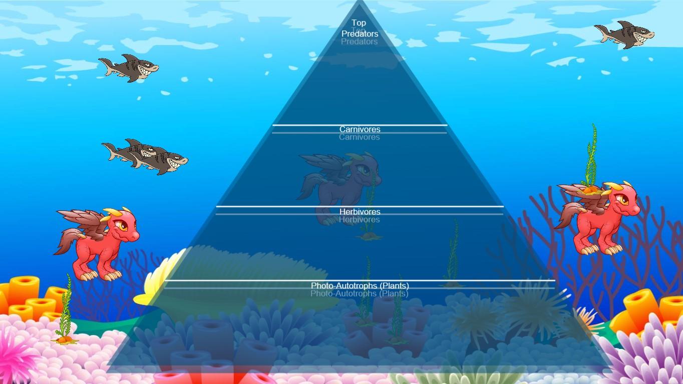 Ocean Ecological Pyramid