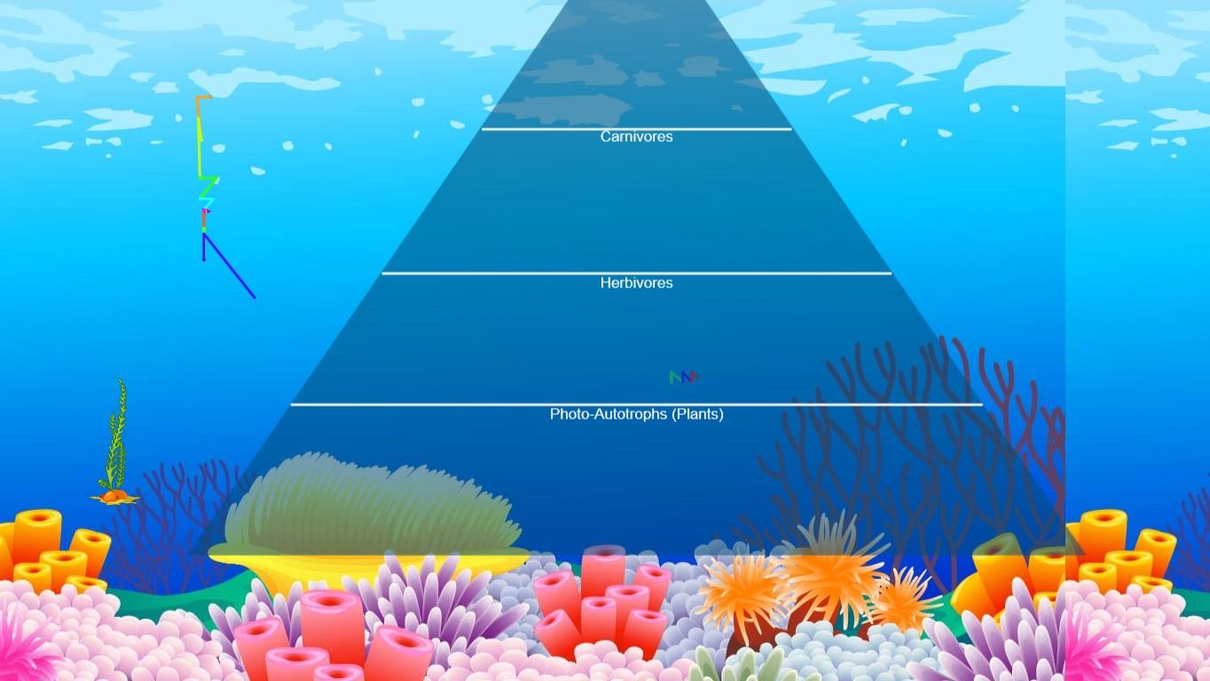 Ocean Ecological Pyramid