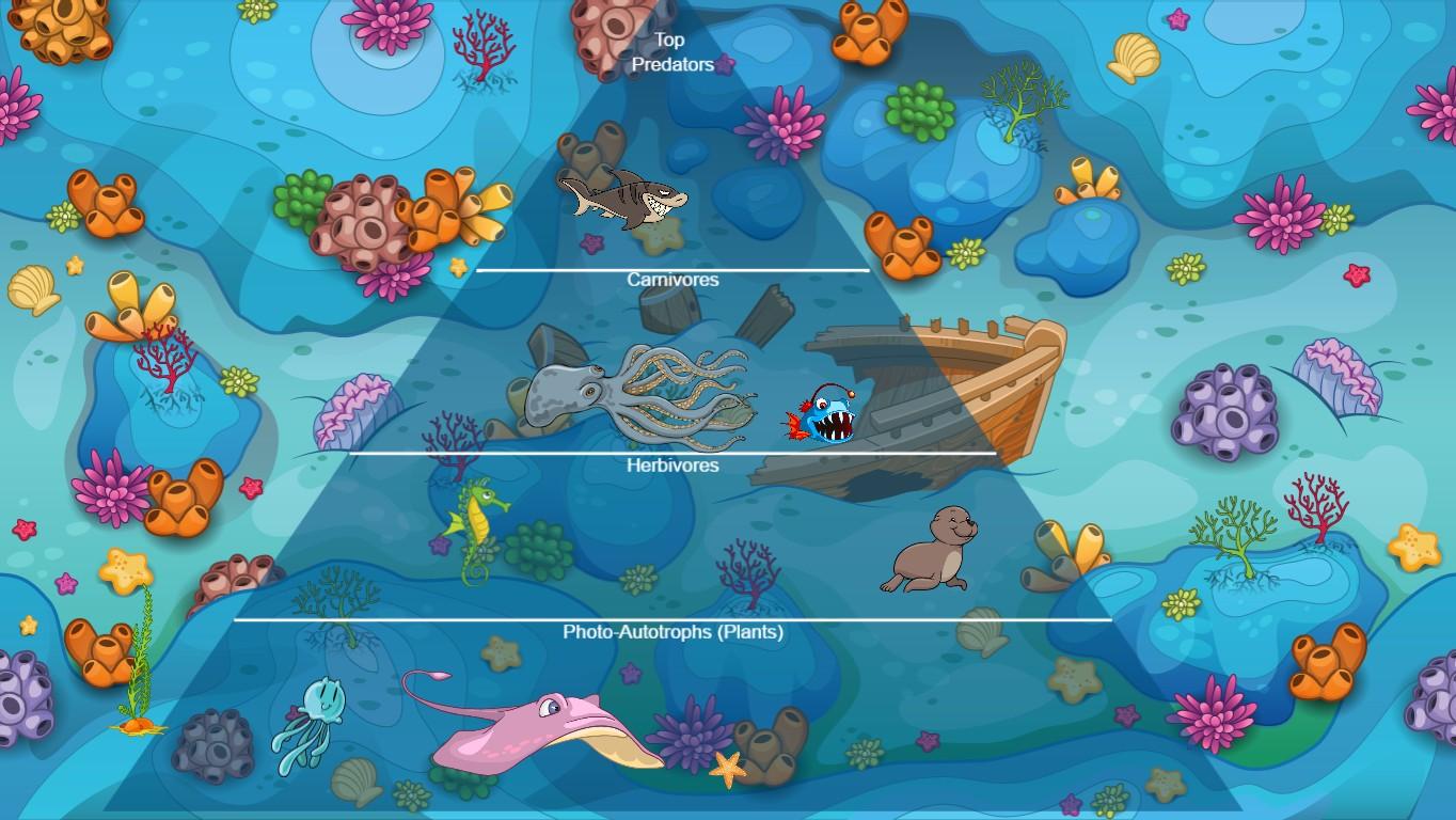 Ocean Ecological Pyramid