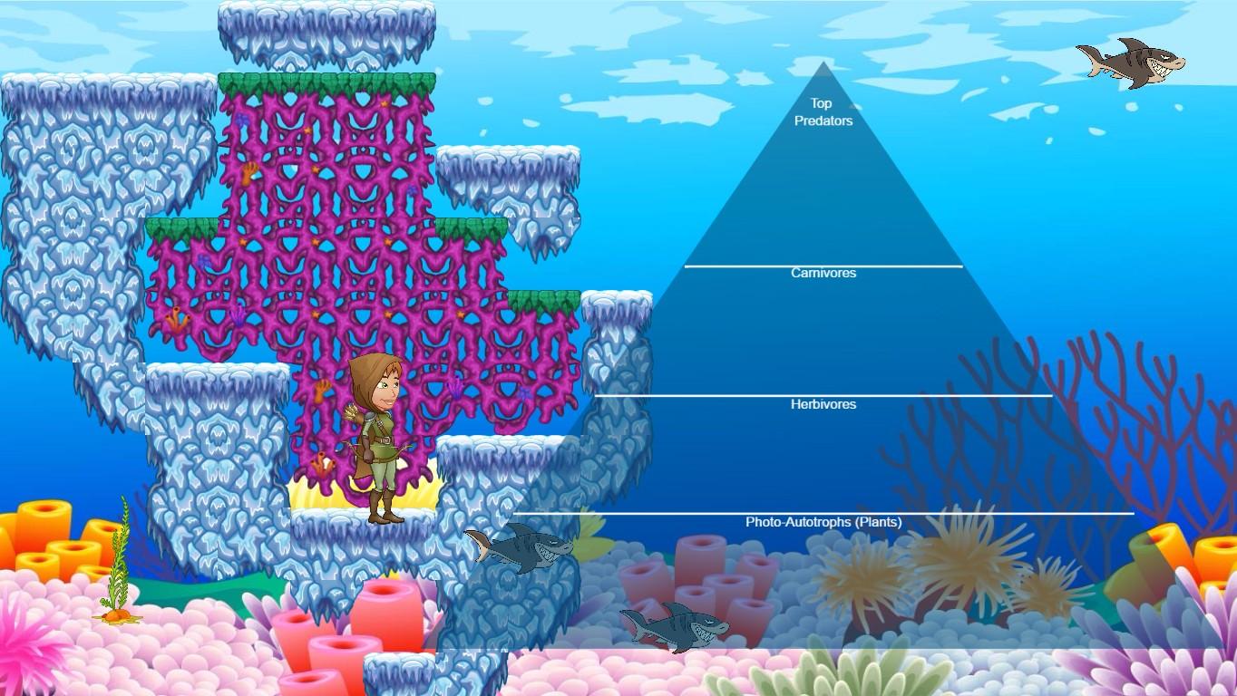 Ocean Ecological Pyramid