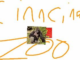 a moment 4 harambe