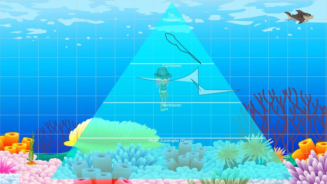 Ocean Ecological Pyramid